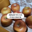 새콤달콤 부사사과 은서네 과일가게 후기 ( 땅콩버터+사과)