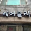 헤어블리 이미지