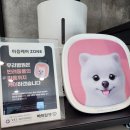 강남동물메디컬센터 이미지