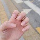 [평택] 가격착한 네일아트 내돈내산 &#39;채원뷰티네일&#39; 솔직후기