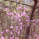 삼성축산 이미지
