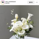오오에스 이미지