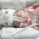 대구가톨릭대학교 유스티노자유대학원 | 2025년 11월 3주차 기록