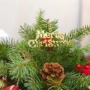 [공지] 의정부 꽃집 :: 미니트리로 다가오는 크리스마스 준비하기🎄 꽃채화 원데이클래스 수강 후기 ෆ