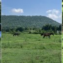 이시돌농장 이미지