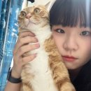 은우네간식 이미지