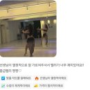 다이어트 벨리댄스 | [카엘댄스아카데미] 여름 다이어트 아직 끝나지 않았다! 벨리댄스로 뱃살 빼는 법 (네이버 리뷰 후기)