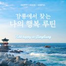 미리 | 26.03.04) 청도지 수업 : 미리캔버스 활용방법 후기