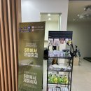 지디알(GDR)플러스 아카데미 김해복음병원점 | 김해골프연습장 〰️ GDR아카데미에서 레슨받은 후기