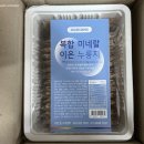 코리온스 이미지