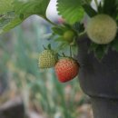 동일농약사 이미지