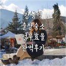 카파스 호텔 | 강남역 인근 출장 숙소 추천 업무 효율 높여주는 비즈니스 호텔 후기