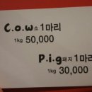 피그 앤 카우