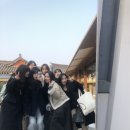 올리브김밥