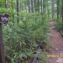 방화동자연휴양림 이미지