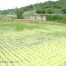 광공인중개사사무소 이미지