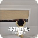 세븐일레븐 강릉사천진리점 | 강릉 아이랑 서정카라반 9동 후기, 내돈내산