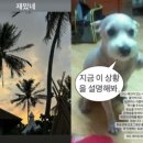 모든광고 이미지