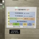 [미사] 미사머리잘하는곳 살롱드무슈 미사점 블랙 염색 후기