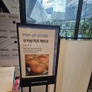 현대프리미엄아울렛대전모에&린 | 🍰 [송현아] 오사카 명물 상륙! 송도현대프리미엄아울렛 '오지상 치즈 케이크' 팝업스토어 방문 후기