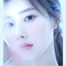 강혜원 카카오 검색결과