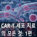 For Car | CAR-T 세포 치료의 모든 것: 1편