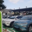 ㈜스타렌트카 이미지