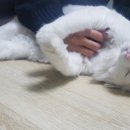 하회로 가는 펜션형민박 이미지