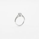 아스테리아 이미지