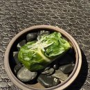 홍대 우월 한우오마카세