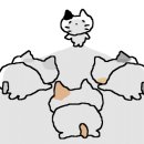 두리축산 이미지