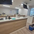 마더쿠키 | 마더비문화원 쿠킹수업 쿠키만들기 후기