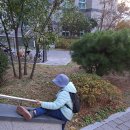 기장군철마면삼동보건진료소 | 부산 기장군 철마산 등산코스~부산근교산행(철마산-당나귀봉-매암산-망월산-정관 은아골프장)