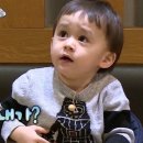 태권도(성인반) 이미지