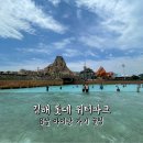 진양목욕탕 | 김해 롯데워터파크 8살 아이랑 다녀온 후기(feat. 꿀팁 &amp; 준비물)