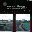 명월성지 이미지