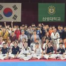 신성태권도체육관 Daum카페