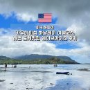 영  풍 | 카우아이섬 하날레이 여행코스 해변 포케맛집 쉐이브아이스 후기