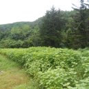 남한산성면-1 이미지