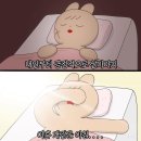 공주가 공주 다녀옴