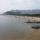 다대포해수욕장 이미지