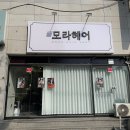 [사상 모라헤어] 두피스케일링과 승모근관리까지 같이 받아본 솔직 후기