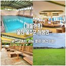 대우유토피아(여) | 경남 부산 근교 울산 애견카페 추천, 개들랜드 내돈내산 솔직후기 넓은 수영장