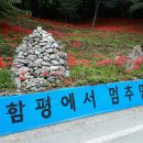 제250차 청목산악회 산행실시 결과 이미지