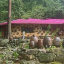 달둔소낭펜션 이미지