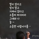 🌸🍃지혜를 주는 나무🌸🍃 이미지