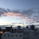 (주)코이네트 | [3박 4일 훗카이도 여행] 3일차_비에이+후라노 일일 버스투어(흰그림자투어)/코에루(카레우동&amp;돈카츠...