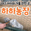 팔공산로 | 대구 아이와 주말 나들이 추천 장소, 하하농장 후기