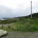 사천송림 이미지