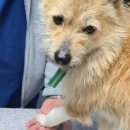 산청동물병원 이미지